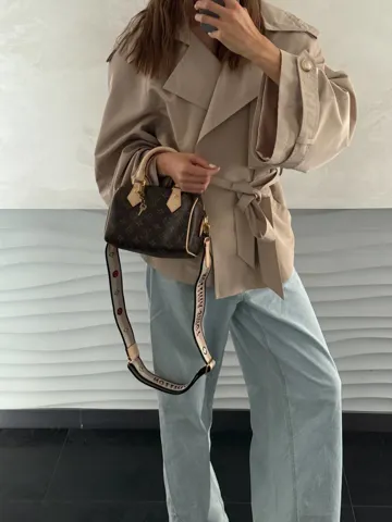 Louis Vuitton Speedy Nano Brown/Gold (Коробка магніт)